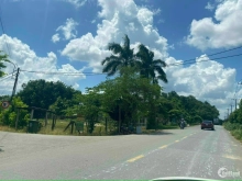 Đất củ chi ngộp mùa dịch 974m2 giá rẻ 1ty570 sổ hồng riêng