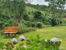 E phân phối 79 nền đất thổ cư toàn bộ, sổ hồng riêng tại trung tâm Bảo Lộc