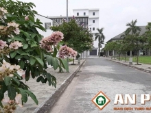 Cần bán lô góc khu đô thị Gò Gai, Núi Đèo, Thuỷ Nguyên, Hải Phòng