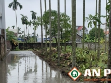 Bán lô đất giá rẻ tại Hoa Động, Thủy Nguyên, Hải Phòng