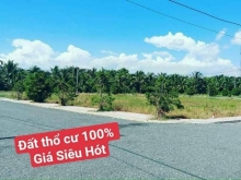 khu công nghiệp Tân Hương- tiềm năng phát triển