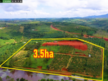 Đất thích hợp làm khu Du lịch, Nghỉ dưỡng, Farmstay, View thị trấn