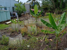 Gấp !!! Tôi cần bán gấp đất thổ cư 100%, dt 150m2, giá 2.3 tỷ