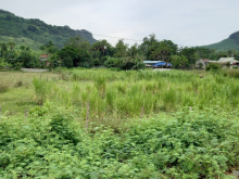 Ra nhanh vài lô đất mới trúng đấu giá mặt đường quốc lộ.