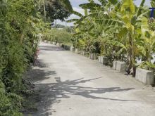 222m2 Trung Hưng Sơn Tây Hà Nội Cần Bán