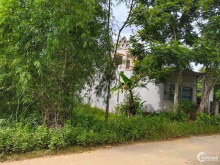 2 lô đất liền kề khu 1 thị trấn Sao Vàng Thọ Xuân Thanh Hóa