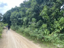 Bán lô đất xào ở Cam Đức-Cam Lâm ,Gần đường Đại Hàn ,đường ô tô vào đất có xoài