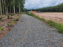 Đất đầu tư tiềm năng, cách nhựa 50m, gần khu công nghiệp chỉ hơn 300triệu