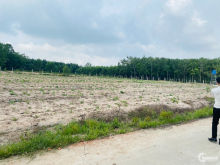 Có trong tay 1000m2 thì xây biệt thự vườn kiểu gì?