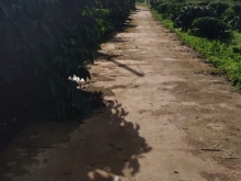 CHÍNH CHỦ CẦN BÁN ĐẤT ĐƯỜNG BÊ TÔNG XÃ QUẢNG TÂM – TUY ĐỨC