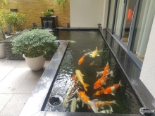 Nhà vườn sang trọng, đẳng cấp thiết kế dành cho Quan chức và Doanh Nhân.