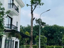 Biệt Thự Mới Đón Tết - Lô Góc - Vinhomes Green Bay