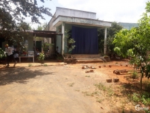 Bán đất sào giá rẻ 1000m2, Sổ hồng riêng , thổ cư 100m , Công chứng trong tuần