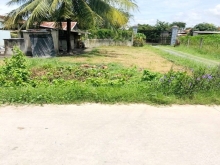 Bán Đất Đường MT rộng 12m -1 tỷ 95, 1420m2, TÂN NGHĨA, HÀM TÂN, BÌNH THUẬN