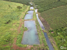 Bán đất nền khu nghỉ dưỡng bảo lộc