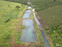 Bán đất nền khu nghỉ dưỡng bảo lộc