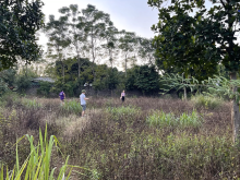 Bán Ngay Lô đất Đẹp Mê ly Giá thành rẻ 3100m2 Tại Yên Bài Ba Vì