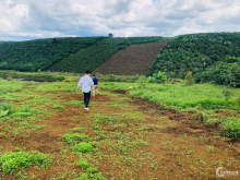 Khu nghỉ dưỡng ven hồ Gems Paradise 2 Bảo Lộc, chỉ 539 triệu