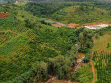 5,1 ha Tĩnh lộ 6  có 226 m mặt tiền Thích hợp làm cây xăng và trạm dừng chân