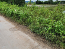 Bán lô đất 33.000m2, đất có sổ cạnh KCN Việt Tiến, Việt Yên, BG. Chỉ 20 tỷ.