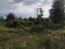 ĐỊNH QUÁN- ĐỒNG NAI  CCG đất mặt tiền xe hơi chạy khu vực đang sốt của huyện