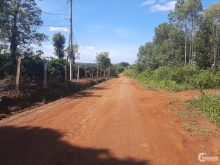 BÁN ĐẤT RẪY THÀNH PHỐ PLEIKU, TỈNH GIA LAI DIỆN TÍCH 2,6 HA