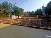 hót...hót???em đang có mấy lô đất khu vực Tân Minh , Sóc Sơn giá rẻ hơn 600tr/lô