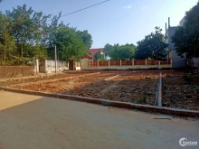 hót...hót???em đang có mấy lô đất khu vực Tân Minh , Sóc Sơn giá rẻ hơn 600tr/lô