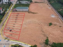 Đất nền phân lô Tam Dương sẵn sổ đỏ