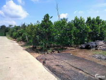 CHO LƯỚT CỌC 6 THÁNG AE LƯỚT THOẢI MÁI.. NHANH TAY NÀO