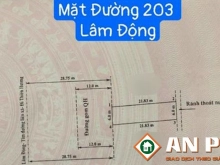 Chuyển nhượng lô đất mặt đường 203 Lâm Động, Thuỷ Nguyên, Hải Phòng
