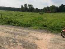 400m mặt tiền đường  3,3Ha giá 290tr/sào