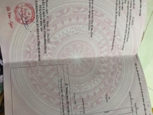 Bao Sổ Chỉ 279 Triệu Có Ngay Sào Đất 1000m2