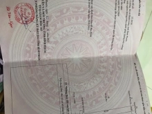 Bao Sổ Chỉ 279 Triệu Có Ngay Sào Đất 1000m2