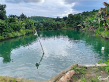 Bán Mảnh Đất Vườn Siêu Đẹp Có Sẵn Thổ Cư 600Tr/Sào Có Thương Lượng