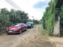 Bán vườn xoài đường hiện hữu, hơn 1054m2 chỉ với 690 triệu.