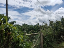 Cần bán đất chính chủ SHR Đức Trọng – Lâm Đồng