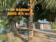 Đất vườn Tân Thành, gò Công Đông TG