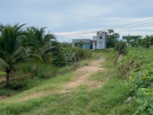 Bán đất vườn thanh long. 7 xào CLN.