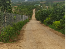 1ha Đất Gia Lâm, Lâm Hà 2 Mặt Tiền View Đẹp.