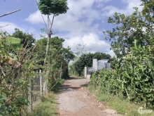 Bán 1 Sào Đất Cây Ăn Trái Bảo Quang, Long Khánh, Đồng Nai