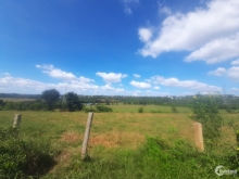 BÁN ĐẤT RẪY, XÃ IA KENH, TP PLEIKU, GIA LAI, DT: 5.1 HEC, ( ĐẤT TCLN)