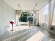 Mặt bằng kinh doanh trung tâm Q1, Nguyễn Trãi