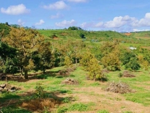 bán nhanh 2 căn biệt thự sân vườn nghỉ dưỡng tết cuối năm.