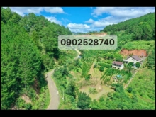 Bán Khu Biệt thự Sân vườn 8.762 m2 giáp rừng thông-View Thung Lũng Tà Nung- Đà L