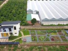 Sở hữu biệt thự nghỉ dưỡng Eden Hills Đà Lạt chỉ với 4.8tr/m2. Đã có sổ từng nền