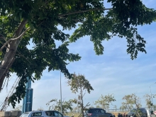 Nhà phố, biệt thự Marine City Vũng Tàu công bố bảng giá 150 căn đợt mới năm 2021