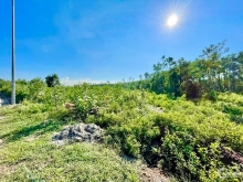 Gần 4 xào đất BHK Bình Hoà, Bình Sơn