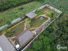 CẦN BÁN SIÊU PHẨM NHÀ VƯỜN NGHỈ DƯỠNG VỚI TỔNG DIỆN TÍCH 807,7M²