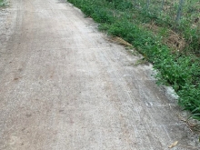 Cần bán 1120m2 đất trung tâm thị trấn Long Giao